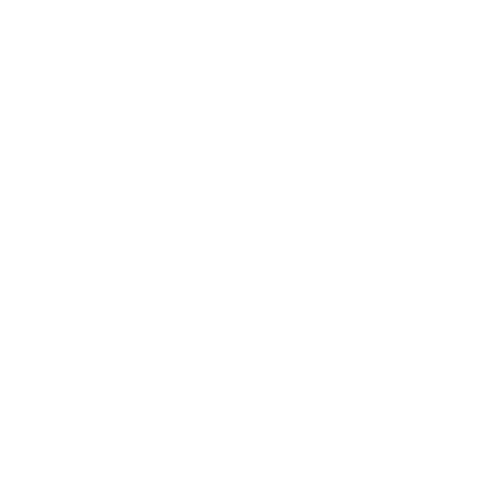 logo-ruthene_coachin-blanc-transparant